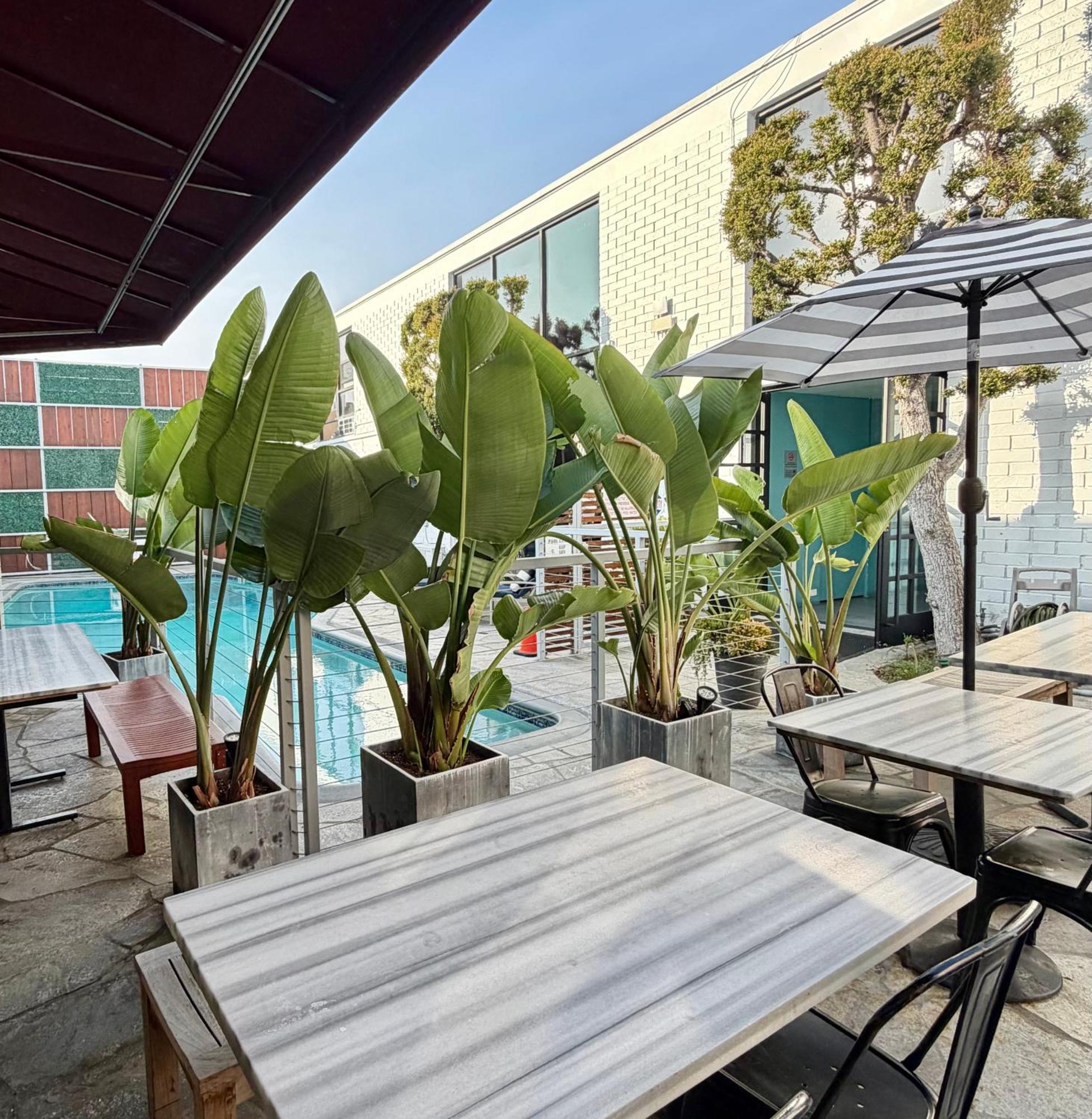 Park Plaza Lodge — Photos 1
